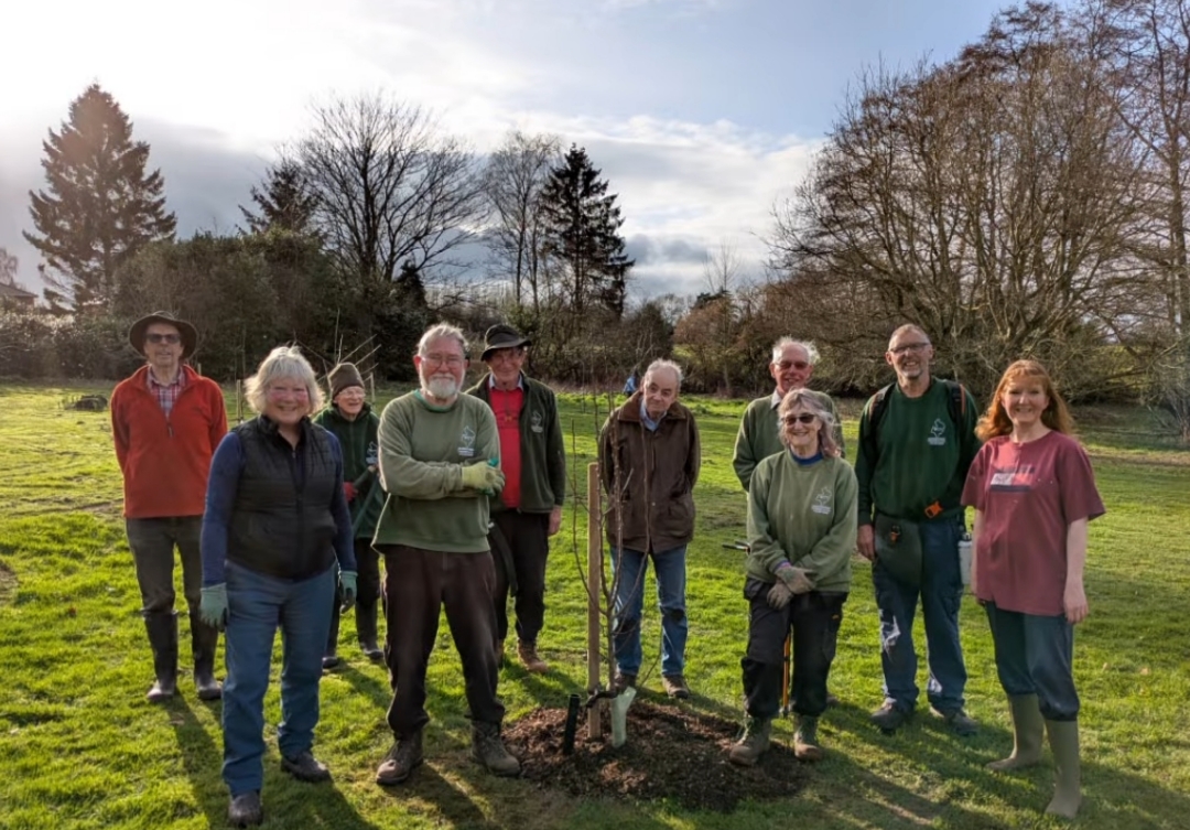 Community Orchard Trees Replanted and Wildness Area Maintained in Willow Park